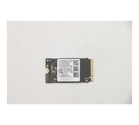 Lenovo 5SS0V42253 drives allo stato solido 256 GB M.2 PCI Express (Samsung PM991
