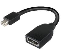 Lenovo DisplayPort Adapter - 6.9 In - Mini DisplayPort (M) to 20 Pin DisplayPort