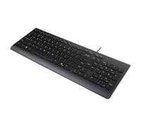 Lenovo KBD_BO Essential KB DE AI - 4Y41R64647