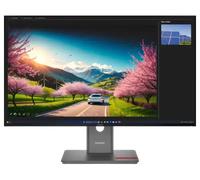 Lenovo Monitor ThinkVision P32UD-40 UHD Thunderbolt da 31,5 - 64A8GAT2EU