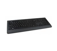 Lenovo Professional **New Retail**, 4X30H56849 (**New Retail** Wireless Keyboard)