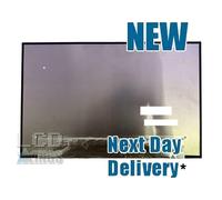 Lenovo ThinkBook 16 G4+ IAP Schermo Laptop 16" 1920 X 1200 21CY