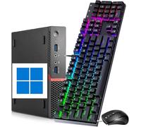 Lenovo ThinkCentre M700 Mini Desktop, Intel Core i5-6400, 8 GB di RAM DDR4, 256 GB di SSD, Supporto 4K, Tastiera QWERTY, Win11 Pro (rinnovato)