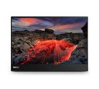Lenovo ThinkVision M14t LED display 35,6 cm (14") 2240 x 1400 Pixel 2.2K Touch screen Nero