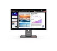 Lenovo P24Q-40 0198156604378