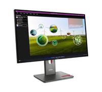 Lenovo ThinkVision P27Q-40 - LED-Monitor - 68.6 cm (27")