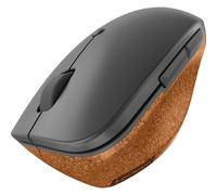 Lenovo Go mouse Mano destra RF Wireless Ottico 2400 DPI