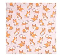 Lens-Aid Panno Microfibra con Design Originale 20×20 cm - Morbido, Lavabile e Antigraffio per Pulizia Fotocamera, Objettivi, Display e Occhiali