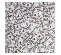 Lens-Aid Panno Microfibra con Design Originale 20×20 cm - Morbido, Lavabile e Antigraffio per Pulizia Fotocamera, Objettivi, Display e Occhiali