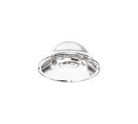 Lente 15° Fox 15W Vetro Trasparente