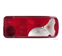 Lente Luce Posteriore Fast FT86436per Mercedes Benz Scania VW