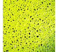 Lenticchia d'acqua - ornamentali giardino in vaso per i luoghi 200semi