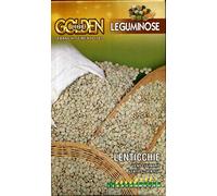 LENTICCHIE DA SEMINA IN CONFEZIONE DA 100 GRAMMI