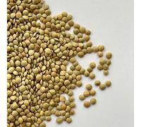 LENTICCHIE GRANDI | Il Contadino | Legumi Secchi (20 Kg)