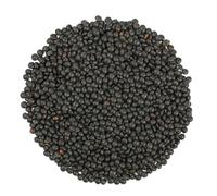 Lenticchie Nere di Beluga 5Kg BIO