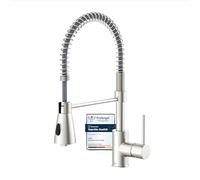 Lenz 46070322 Rubinetto da Cucina, Nichel Opaco