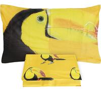 Lenzuola copriletto matrimoniale letto 2 piazze 100%cotone National Geographic