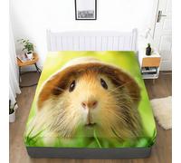 Lenzuolo con Angoli 90 x 190 cm Animale Porcellino D'India Cappello Erba, Lenzuolo con Angoli Morbido Traspirante Fotografia Realistica, Altezza Materasso Fino a 30 cm, per Bambini Adolescenti Adulti