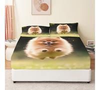 Lenzuolo Con Angoli Animale Volpino Vivace Microfibra Letto Singolo Matrimoniale Una Piazza E Mezza 160 X 200 Cm Lenzuolo Ed Elastici, Profonde 30 Cm Antiscivolo Traspirantemarrone Bianco