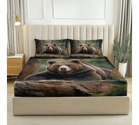 Lenzuolo con angoli per letto matrimoniale 180x200 cm motivo Orso Bruno Foresta Albero, in microfibra con elastico, adatto a materassi 30 cm di altezza per bambini e adulti, Verde Marrone