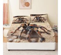 Lenzuolo Con Angoli Ragno Deserto Misterioso Nero Arancione, Lenzuolo Con Angoli Stampato Set Con Tasca Extra Profonda Da 30 Cm, Morbido E Facile Da Pulire Per Tutte Le Stagioni 90 X 200 Cm