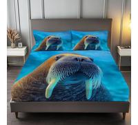 lenzuolo con angoli stampati Azzurro Cielo, Resistente allo scolorimento Facile da pulir lenzuolo con angoli Fotografia Di Un Tricheco Artico per una tasca profonda 30 cm 160 x 190 cm