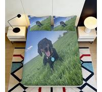 Lenzuolo con angoli stampato 3D cane prato microfibra tasca profonda antiscivolo avvolgente completo biancheria da letto coprimaterasso cane per adulti giovani 120x200x25cm