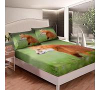 Lenzuolo con Angoli Una Piazza e Mezza 120x200 Volpe Lenzuolo Sotto con Angoli Alto 30 cm Volpi Bambino Lenzuola Letto 1 Piazza e Mezza, 3D Coprimaterasso a.7298