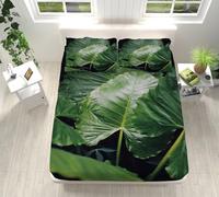 Lenzuolo con Angoli una Piazza e Mezza Modello Foglia Di Palma Coprimaterasso Microfibres Lenzuola una Piazza e Mezza Set Lenzuola Traspirante Copri Materasso Durabile 135x190+30cm
