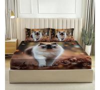 Lenzuolo sotto con Angoli in Microfibra, Stampa Autunno Foresta Animale Gatto Traspirante Terroso Elasticizzati Coprimaterasso Tasca Profondità 30cm per Letto Singolo/Matrimoniale - 180 x 200 cm