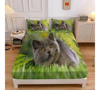Lenzuolo Sotto una Piazza e Mezza Gatto Blu Verde Lenzuolo Sotto con Angoli in Microfibra, Microfibra Coprimaterasso Traspirante e Lavabile con 2 Federe - 120x190cm