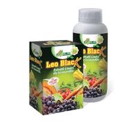 Leo Black AL:FE