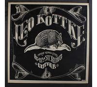 Leo Kottke - 6 and 12 String Guitar
