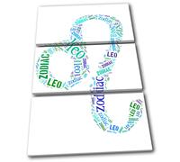 Leo Zodiac Starsign TREBLE TELA parete arte foto stampa