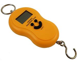 LEOFLA Bilancia Portatile Elettronica Professionale Con Gancio Pesca 40 Kg Per Bagagli