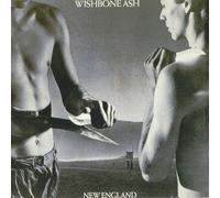 Leonard Cohen - Death of a ladies' man (1977) / Vinyl record [Vinyl-LP]