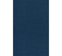 Leonard Crimson The Rise of AI Gadgets (Copertina rigida)