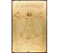 Leonardo da Vinci - Poster "Hombre de Vitruvio", 61 x 91,5 cm