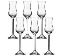 Leonardo Daily Bicchieri, Bicchiero da Grappa, Teqton, 88,72 ml