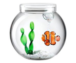 LEONARDO HOME Set Decorativo Leonardo Mare, 14,3 cm, 059067, Vetro Pietre plastica, Multicolore, 15,4 cm