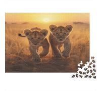 Leone Cub Walking on Grassland atAlba -Fauna Selvatica Puzzle 1000Pcs Decorazione Per La Casa. Rilassamento E Intelligence Per Adulti E Bambini Da 14 Anni 1000pcs (75x50cm)