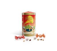 Leone dal 1857 - Latta Carillon Cri Cri - Cioccolatini Assortiti Fondenti alla Nocciola e Fondenti al Pistacchio - 1 Lattina da 130 gr - Dolci Scrigni Incantati - Idee Regalo Natale