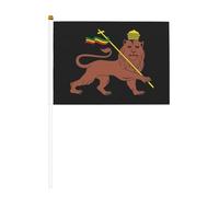 Leone di Giuda, emblema dell'Etiopia, bandiera sventolante a mano su entrambi i lati, 5,5x8,2 pollici, bandiera portatile