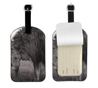 Leone e leonessa stampati,Etichette per bagagli in pelle PU, etichette per bagagli resistenti da viaggio, 2 pezzi