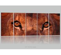 leone il Re - 5 QUADRI STAMPA TELA CANVAS ARREDO CASA