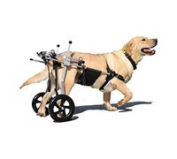 LEONFFS Passeggino Regolabile per Cani da Compagnia 2 Ruote per Cani da Compagnia Sedia a Rotelle Completa per Cani Disabili, Adatto a Cani Disabili a Camminare Sulle Gambe Posteriori, Peso Leggero e