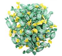 Leonsnella - Caramelle Senza Zucchero al MENTA - Confezione da 500 gr - Senza Coloranti e Senza Glutine - Dolcificate con isomalt, malititolo - Pastiglie Leone