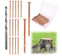 LEONTOOL 15 chiodi in rame per uccidere ceppi e radici, chiodi in rame puro da 7,9 cm, con punta da trapano HSS e scatola portaoggetti, chiodi resistenti per la rimozione dei ceppi per paesaggistica e