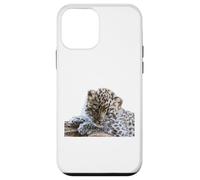 Leopard Cucciolo Adorabile Baby Snow Leopard Big Cat Custodia per iPhone 12 mini