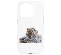 Leopard Cucciolo Adorabile Baby Snow Leopard Big Cat Custodia per iPhone 15 Pro